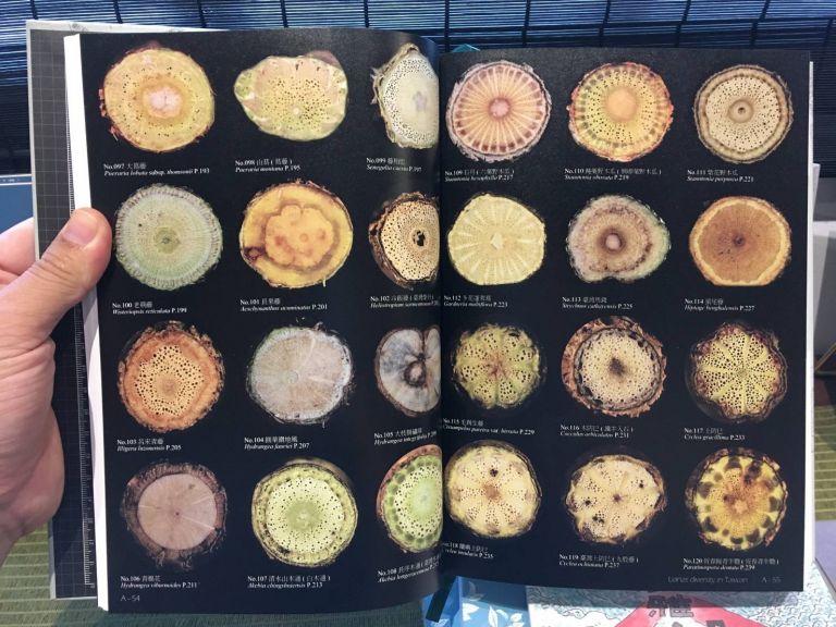 體會臺灣藤本植物之美 「臺灣木質藤本多樣性」新書上架!