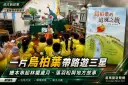 飛越林鐵歲月與落羽松秘境～《烏桕葉的追風之旅》三星發表