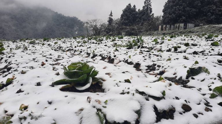 全台瘋賞雪  民眾：周邊道路塞到水洩不通