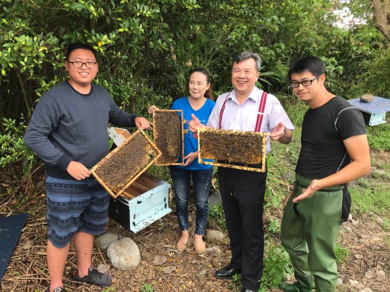 耕莘宜大跨校協力復育台灣野蜂  共創鄉間林下養蜂經濟