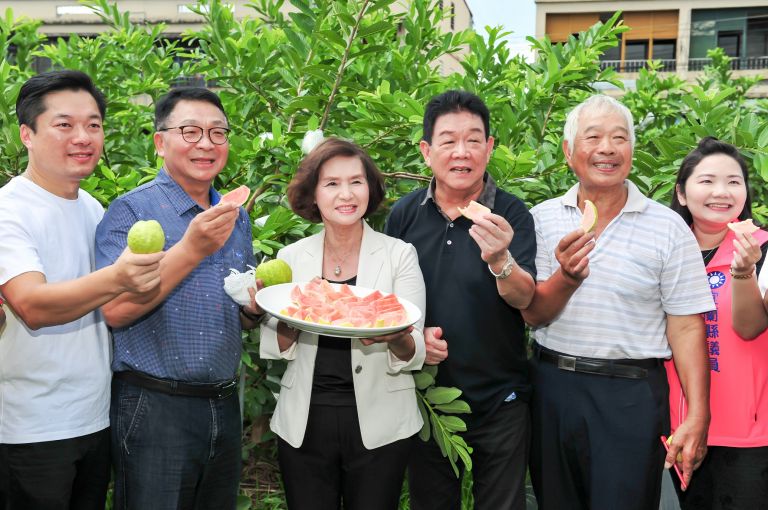 吃軟不吃硬！員山紅心番石榴上市 八至九月最佳賞味期