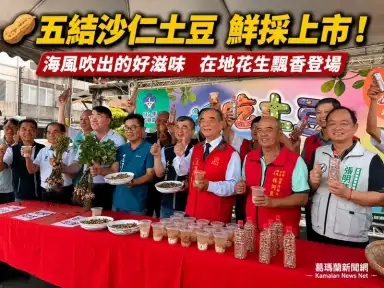 沙地花生飄香！五結好吃土豆上市～公所力推在地特色農產