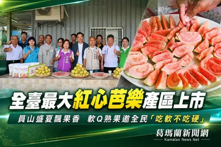 全臺九成產量在員山～紅心芭樂上市邀全民品嚐軟Q好滋味