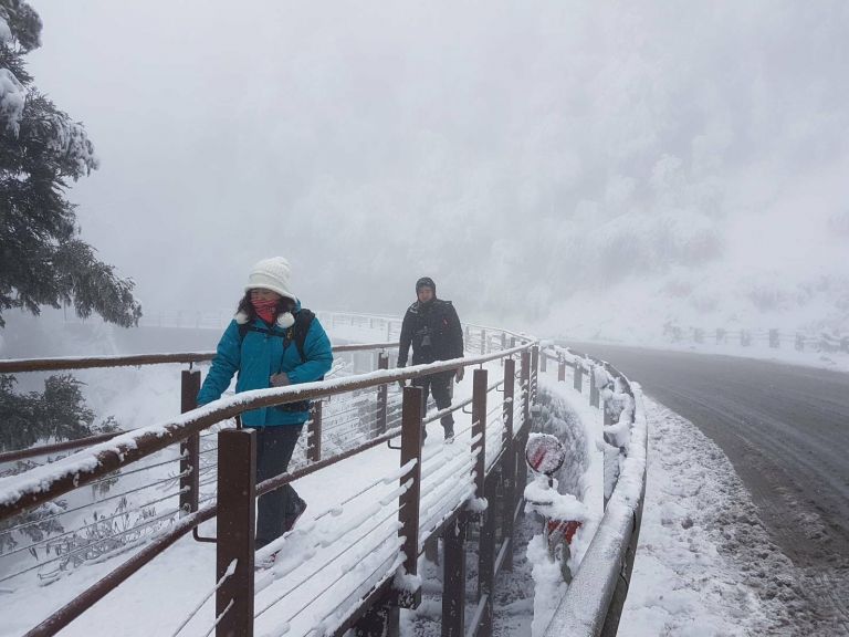冰融濕滑觀雲棧道遭撞毀 上太平山注意交通安全【影音新聞】