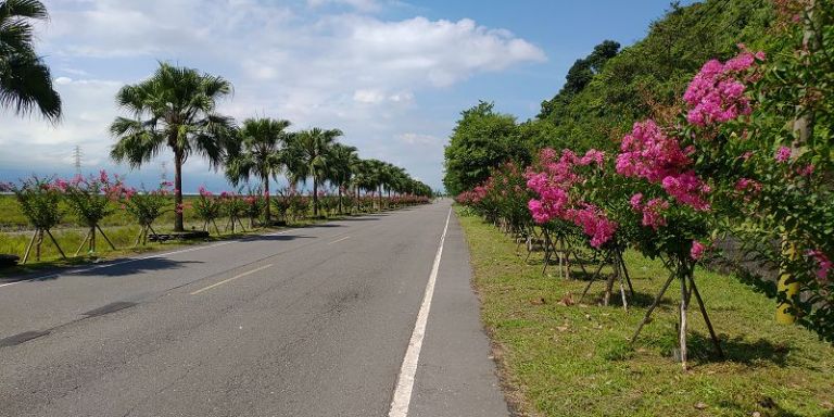 紫薇花開暢遊冬山大進 品嚐人間美味淋漓綠竹荀
