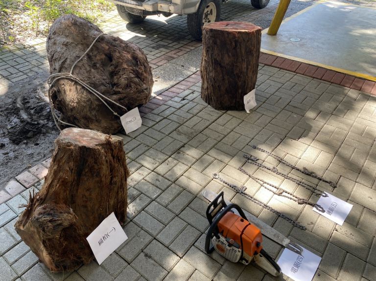 檢、警、林聯手再創佳績 三星警方逮獲山老鼠三嫌【影音新聞】