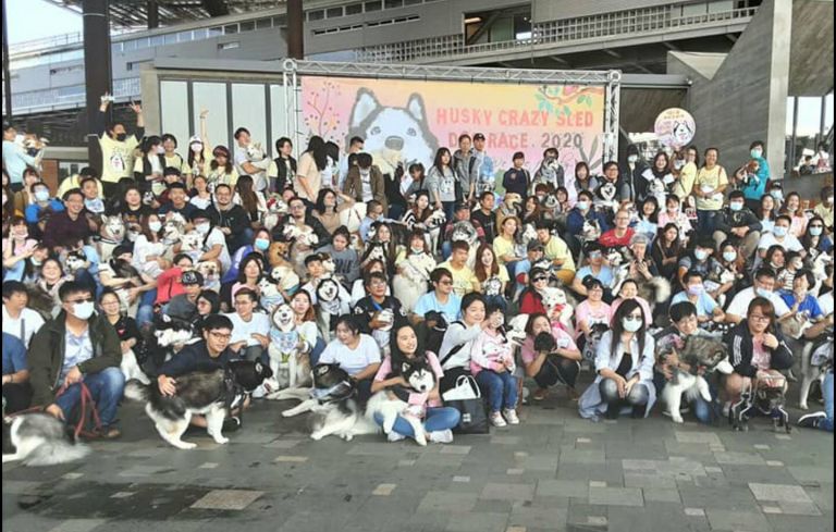 2020哈士奇雪橇大賽 逾200隻狗狗羅東文化工場競艷【影音新聞】