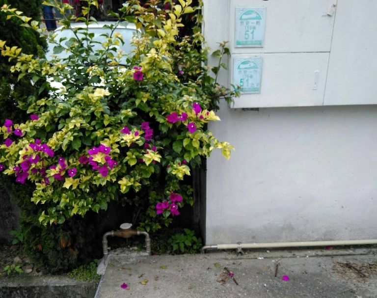 難以想像 三星、冬山有六村至今方可享用自來水