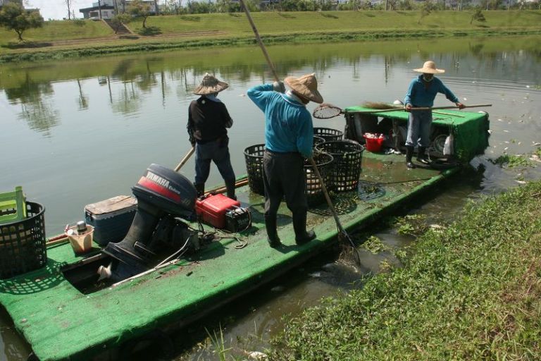 冬山河生態浩劫 縣府工旅處應儘速處理善後【影音新聞】