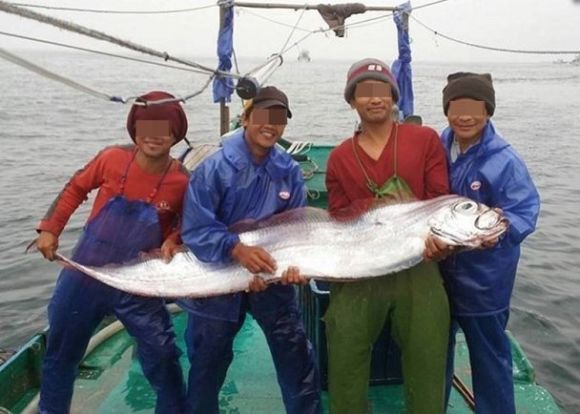 漁民捕捉到地震魚是否與大同鄉地震有關有待專家解謎