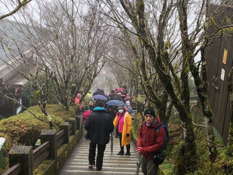 太平山國家林森林遊客爆滿 可惜氣溫不足未見美麗雪景