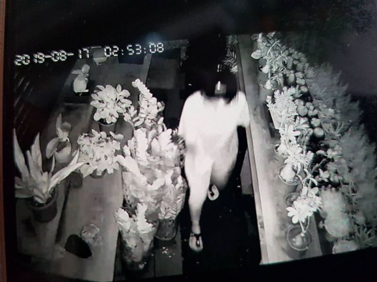 婦女凌晨潛入花坊行竊 被攝影機拍著正著