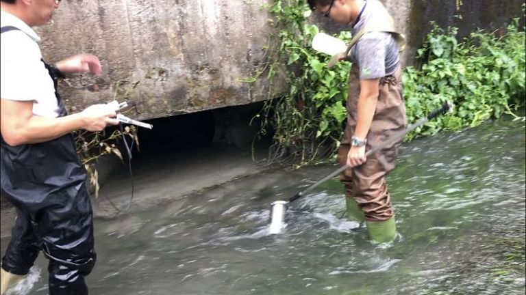 羅東鎮16份圳魚類大量暴斃兇手抓到了