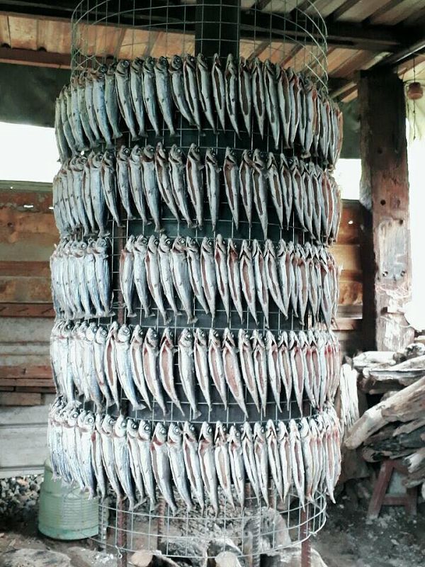 飛魚愛南澳 飛在Aynomi 東岳飛魚季夏日產銷活動