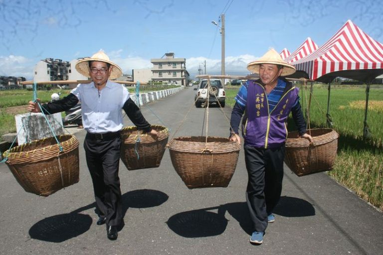五結割稻趣掌草抓泥鰍 重現昔日農忙景象
