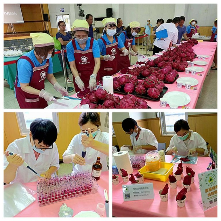 蒼蠅頭生化法為宜蘭嚴選把關．快速篩檢提升食安