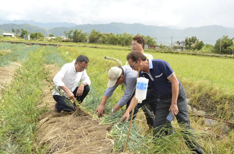 宜蘭農損破4千萬 農委會啟動現金救助