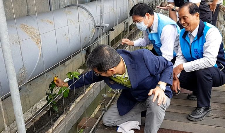 宜市津梅棧道滴灌系統遭關閉．錫葉藤乾枯補植百香果 【影音新聞】