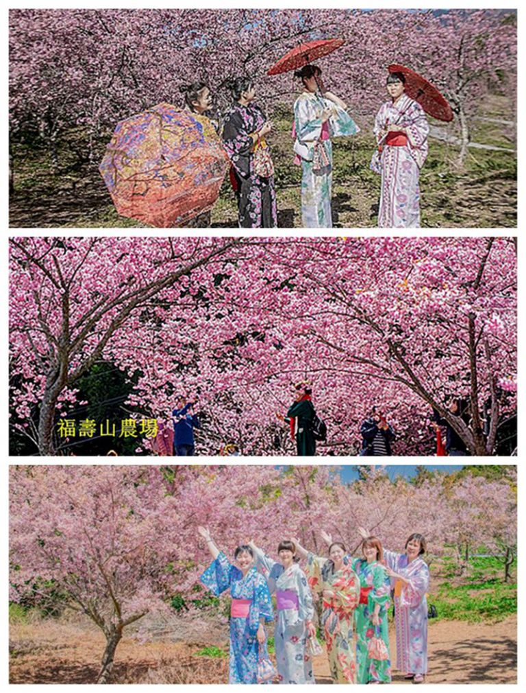 漫天櫻花搖曳．賞櫻猶如東京遊【影音新聞】