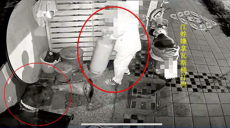 狗咬人不是新聞．「人打狗」被移送法辦【影音新聞】