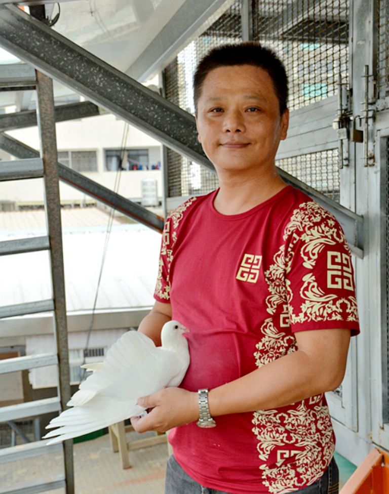 飛鴿傳書翱翔千里 ．賽鴿衝進體育學界