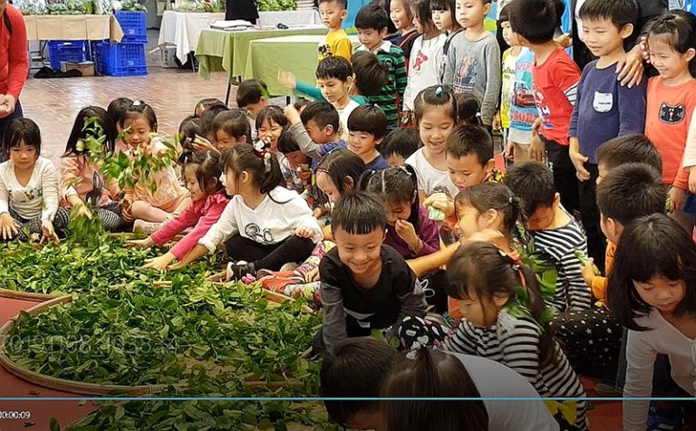 宜蘭有機茶王擂台賽．12日縣民大廳爭霸