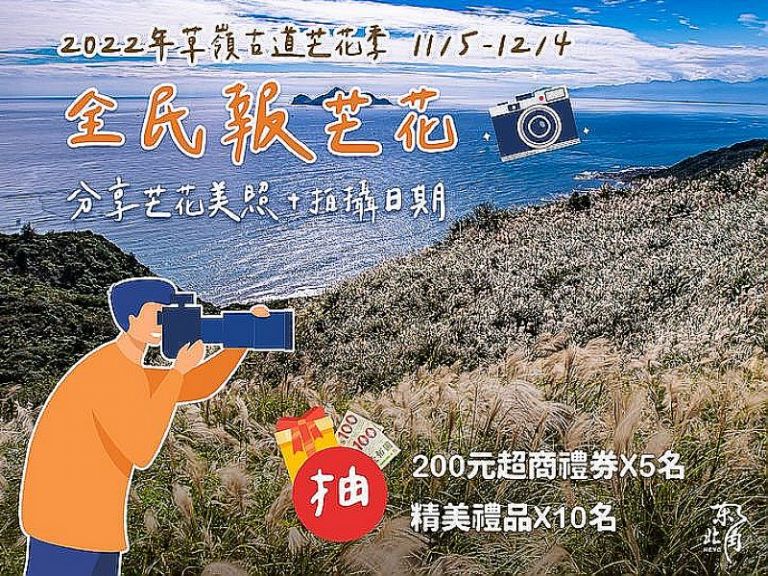 草嶺古道芒花舞秋風．觀光旅遊優惠多