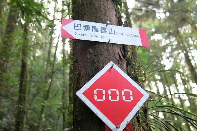 登山客山區失溫 消防局與林務局人員前往救援