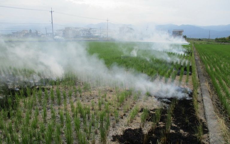 禁止田野燃燒稻草  違者將以空污法裁處