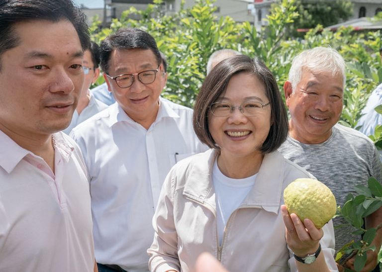 總統今參訪「橘之鄉蜜餞觀光工廠」及「員山鄉紅心芭樂果園」