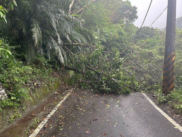 颱風釀災樹倒擋路．礁警清道保障安全