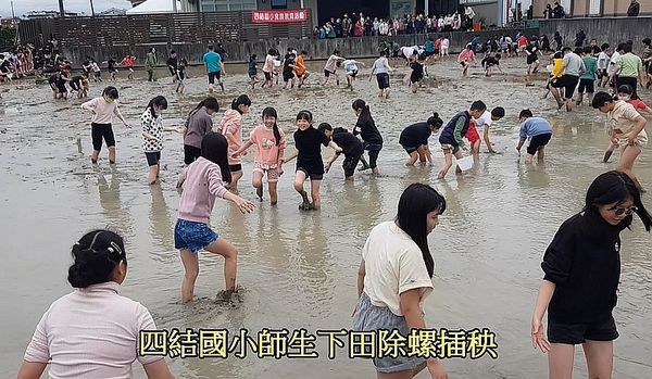 四結國小師生～體驗一日農夫．下田插秧【影音新聞】