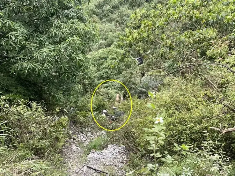 行車不慎落深谷．警消馳援一斷魂