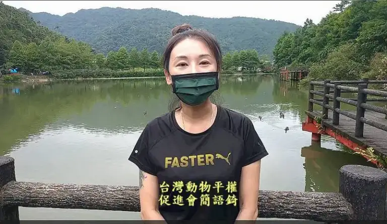 鄉長啟動鴨群移居～望龍埤風光好．鴨禽過多添煩惱【影音新聞】