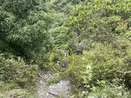 行車不慎落深谷．警消馳援一斷魂