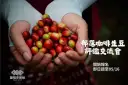 原鄉咖啡來競豔．蘭陽精品放光芒