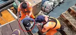 港邊驚險一瞬間．海巡即刻施救援【影音新聞】