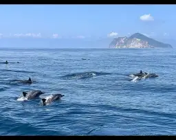 東北角8款好行套票～探索九份．福隆．壯圍海岸線