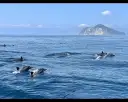 東北角8款好行套票～探索九份．福隆．壯圍海岸線