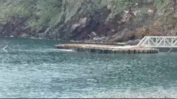 鳳凰來襲浪潮起～亀山島封島五天