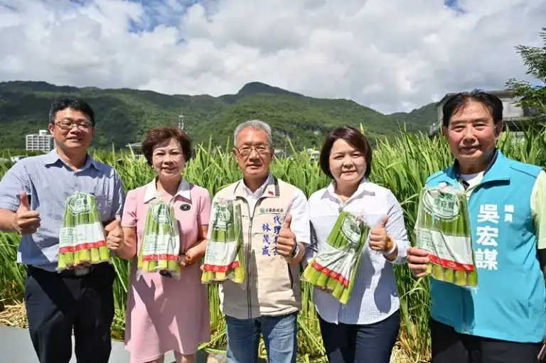 溫泉茭白筍上市．蘭陽秋味滿礁溪【影音直播】