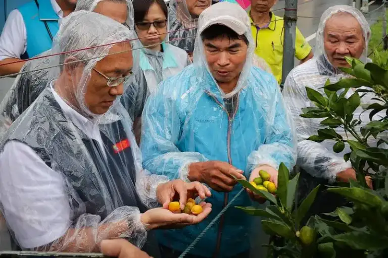 林茂盛關心豪雨農損．礁溪金柑果園勘災