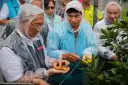 林茂盛關心豪雨農損．礁溪金柑果園勘災