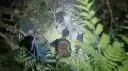 夜困西馬縫山．警消緊急搜救．四人平安返家
