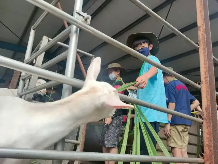 親近自然．勇敢成長～噶瑪蘭自然探索學校冬令營開跑