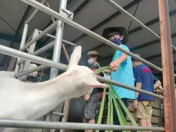 親近自然．勇敢成長～噶瑪蘭自然探索學校冬令營開跑