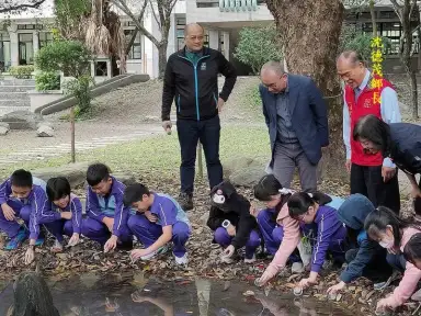 螢火蟲重返五結花樹廊道．夜空再現點點星光