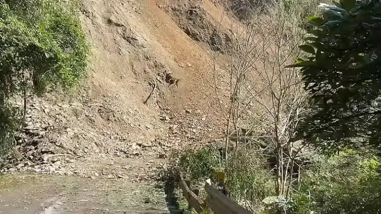 福山植物園聯外道路崩塌～園區延長休園至2月23日