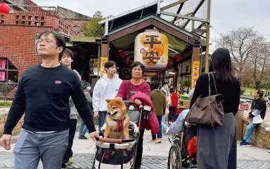 傳藝文昌祠～初三祈願燈火盛．初四接神福氣來