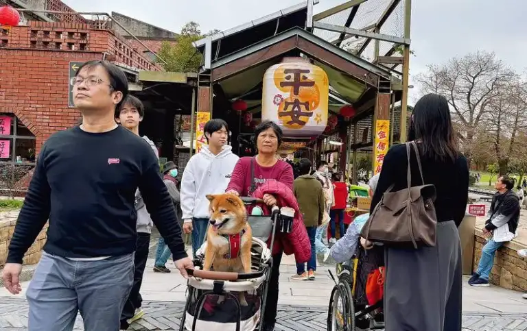 傳藝文昌祠～初三祈願燈火盛．初四接神福氣來